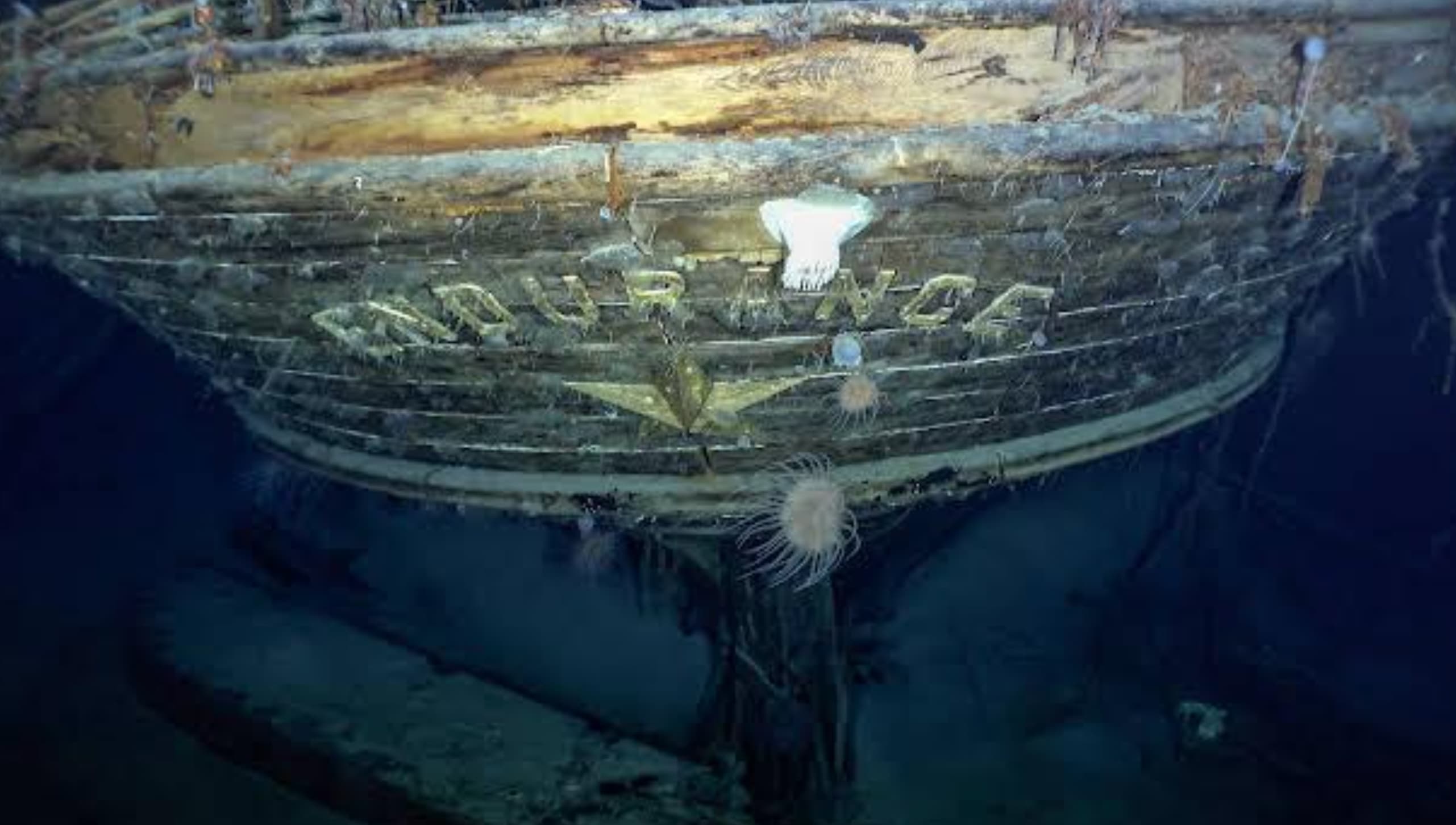 “The ship of polar explorer Ernest Shackleton, the Endurance, was found in the Weddell Sea! Looks to be intact … 3000 meters down”